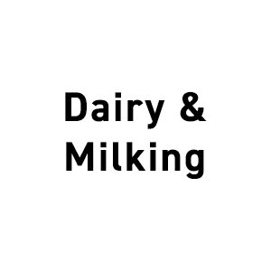 Dairy / Milking
